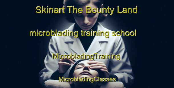 Skinart The Bounty Land microblading training school | #MicrobladingTraining #MicrobladingClasses #SkinartTraining-United States