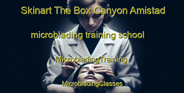 Skinart The Box Canyon Amistad microblading training school | #MicrobladingTraining #MicrobladingClasses #SkinartTraining-United States