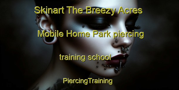 Skinart The Breezy Acres Mobile Home Park piercing training school | #PiercingTraining #PiercingClasses #SkinartTraining-United States