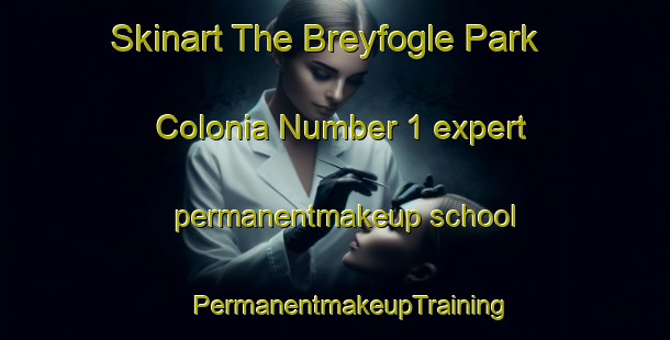 Skinart The Breyfogle Park Colonia Number 1 expert permanentmakeup school | #PermanentmakeupTraining #PermanentmakeupClasses #SkinartTraining-United States