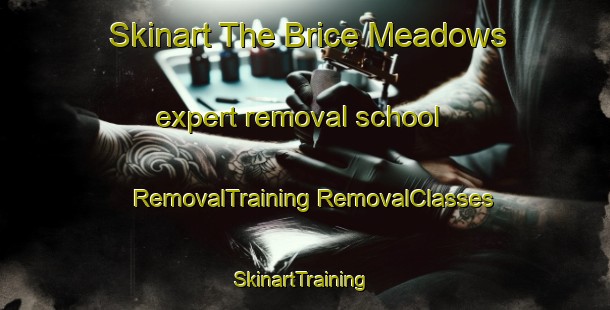 Skinart The Brice Meadows expert removal school | #RemovalTraining #RemovalClasses #SkinartTraining-United States