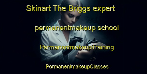 Skinart The Briggs expert permanentmakeup school | #PermanentmakeupTraining #PermanentmakeupClasses #SkinartTraining-United States