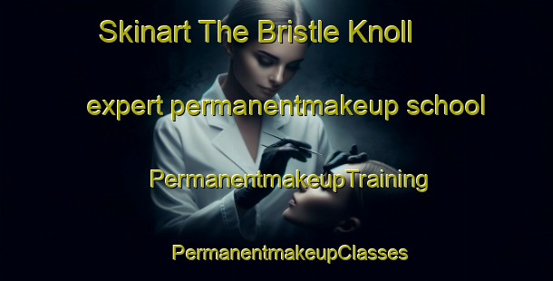 Skinart The Bristle Knoll expert permanentmakeup school | #PermanentmakeupTraining #PermanentmakeupClasses #SkinartTraining-United States