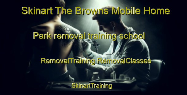 Skinart The Browns Mobile Home Park removal training school | #RemovalTraining #RemovalClasses #SkinartTraining-United States