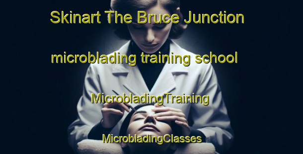 Skinart The Bruce Junction microblading training school | #MicrobladingTraining #MicrobladingClasses #SkinartTraining-United States