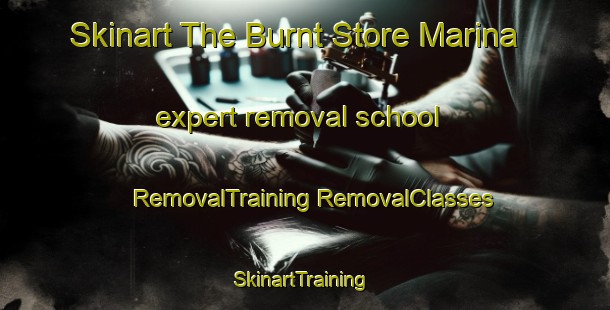 Skinart The Burnt Store Marina expert removal school | #RemovalTraining #RemovalClasses #SkinartTraining-United States