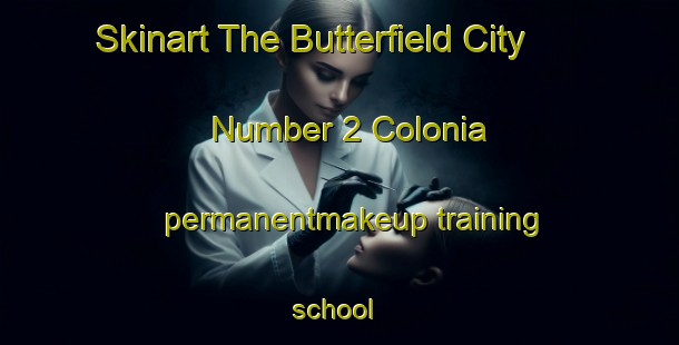 Skinart The Butterfield City Number 2 Colonia permanentmakeup training school | #PermanentmakeupTraining #PermanentmakeupClasses #SkinartTraining-United States