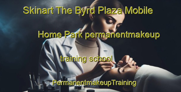 Skinart The Byrd Plaza Mobile Home Park permanentmakeup training school | #PermanentmakeupTraining #PermanentmakeupClasses #SkinartTraining-United States