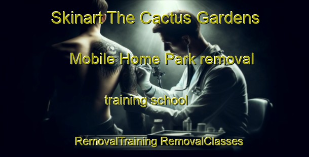 Skinart The Cactus Gardens Mobile Home Park removal training school | #RemovalTraining #RemovalClasses #SkinartTraining-United States