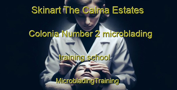 Skinart The Calma Estates Colonia Number 2 microblading training school | #MicrobladingTraining #MicrobladingClasses #SkinartTraining-United States