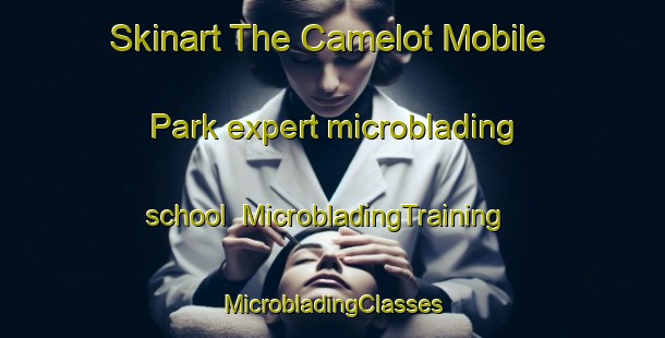 Skinart The Camelot Mobile Park expert microblading school | #MicrobladingTraining #MicrobladingClasses #SkinartTraining-United States