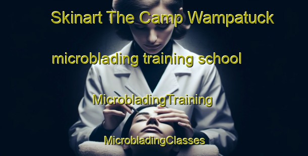 Skinart The Camp Wampatuck microblading training school | #MicrobladingTraining #MicrobladingClasses #SkinartTraining-United States