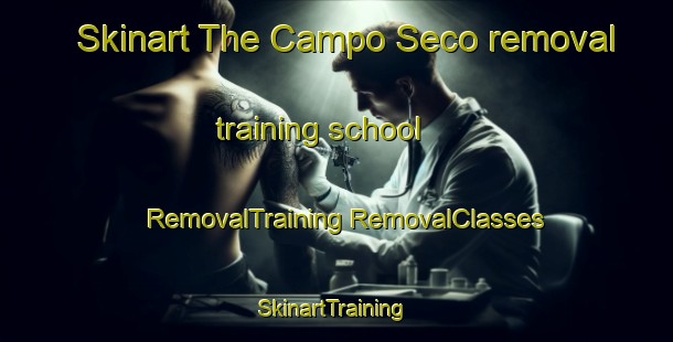 Skinart The Campo Seco removal training school | #RemovalTraining #RemovalClasses #SkinartTraining-United States