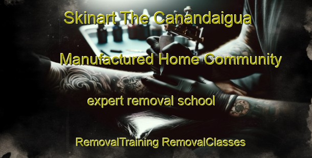 Skinart The Canandaigua Manufactured Home Community expert removal school | #RemovalTraining #RemovalClasses #SkinartTraining-United States