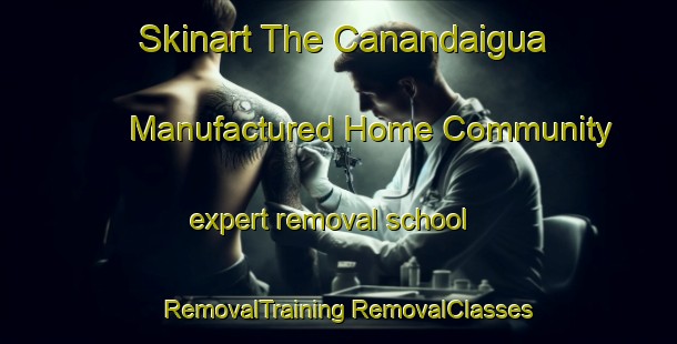 Skinart The Canandaigua Manufactured Home Community expert removal school | #RemovalTraining #RemovalClasses #SkinartTraining-United States