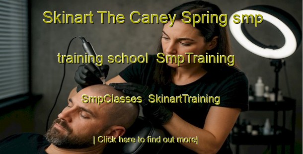 Skinart The Caney Spring smp training school | SmpTraining | SmpClasses | SkinartTraining-United States
