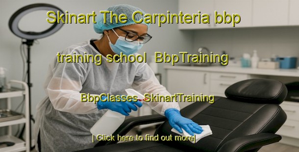 Skinart The Carpinteria bbp training school | BbpTraining | BbpClasses | SkinartTraining-United States