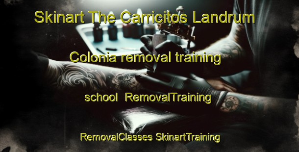 Skinart The Carricitos Landrum Colonia removal training school | #RemovalTraining #RemovalClasses #SkinartTraining-United States