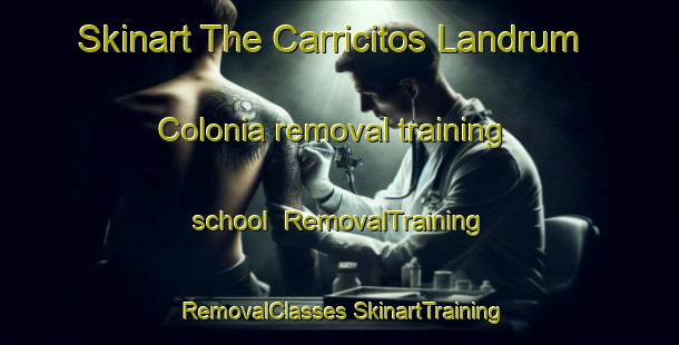 Skinart The Carricitos Landrum Colonia removal training school | #RemovalTraining #RemovalClasses #SkinartTraining-United States