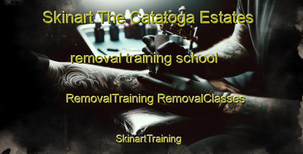 Skinart The Catatoga Estates removal training school | #RemovalTraining #RemovalClasses #SkinartTraining-United States