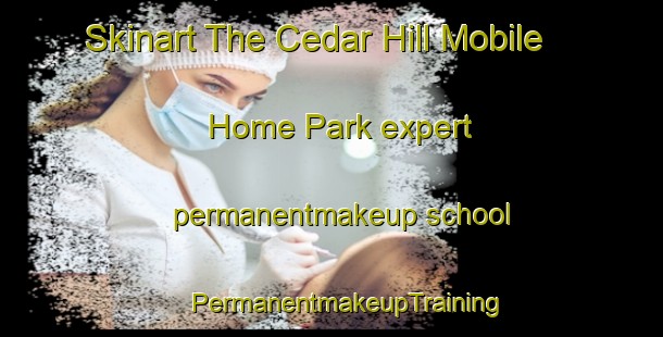 Skinart The Cedar Hill Mobile Home Park expert permanentmakeup school | #PermanentmakeupTraining #PermanentmakeupClasses #SkinartTraining-United States