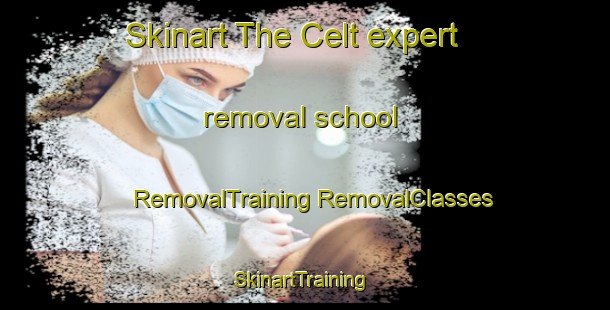 Skinart The Celt expert removal school | #RemovalTraining #RemovalClasses #SkinartTraining-United States