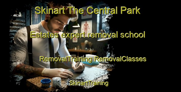 Skinart The Central Park Estates expert removal school | #RemovalTraining #RemovalClasses #SkinartTraining-United States