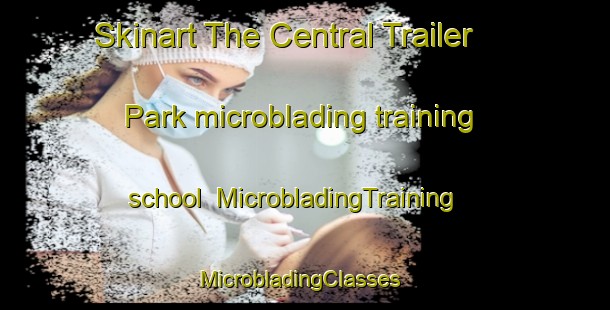 Skinart The Central Trailer Park microblading training school | MicrobladingTraining | MicrobladingClasses | SkinartTraining-United States