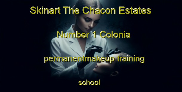 Skinart The Chacon Estates Number 1 Colonia permanentmakeup training school | #PermanentmakeupTraining #PermanentmakeupClasses #SkinartTraining-United States