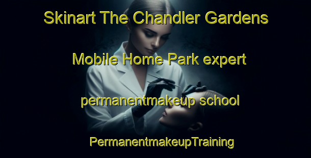 Skinart The Chandler Gardens Mobile Home Park expert permanentmakeup school | #PermanentmakeupTraining #PermanentmakeupClasses #SkinartTraining-United States