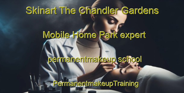 Skinart The Chandler Gardens Mobile Home Park expert permanentmakeup school | #PermanentmakeupTraining #PermanentmakeupClasses #SkinartTraining-United States