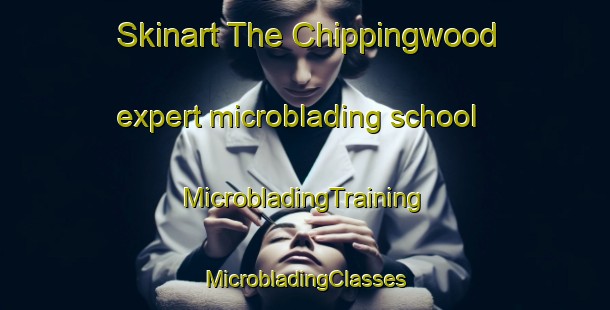 Skinart The Chippingwood expert microblading school | #MicrobladingTraining #MicrobladingClasses #SkinartTraining-United States