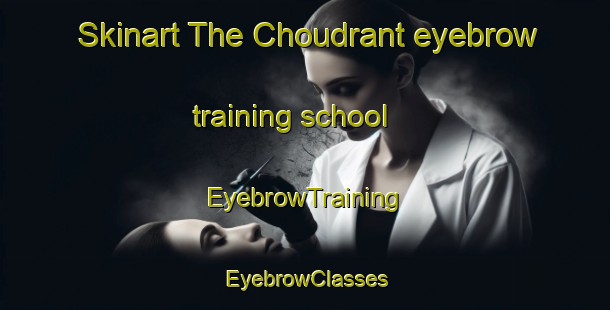 Skinart The Choudrant eyebrow training school | EyebrowTraining | EyebrowClasses | SkinartTraining-United States
