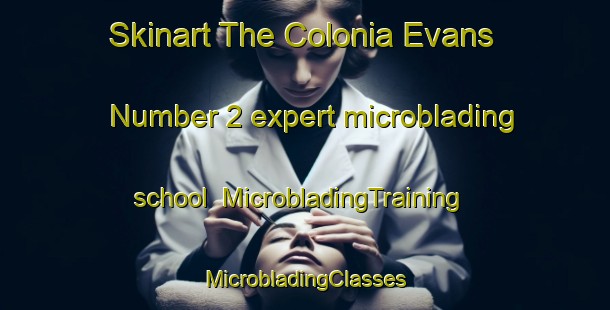 Skinart The Colonia Evans Number 2 expert microblading school | #MicrobladingTraining #MicrobladingClasses #SkinartTraining-United States