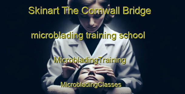 Skinart The Cornwall Bridge microblading training school | MicrobladingTraining | MicrobladingClasses | SkinartTraining-United States