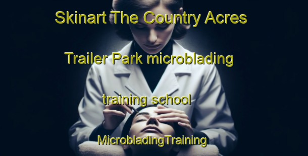 Skinart The Country Acres Trailer Park microblading training school | #MicrobladingTraining #MicrobladingClasses #SkinartTraining-United States