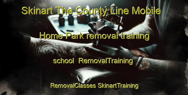 Skinart The County Line Mobile Home Park removal training school | #RemovalTraining #RemovalClasses #SkinartTraining-United States