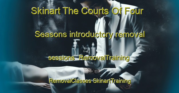 Skinart The Courts Of Four Seasons introductory removal sessions | #RemovalTraining #RemovalClasses #SkinartTraining-United States