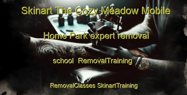 Skinart The Cozy Meadow Mobile Home Park expert removal school | #RemovalTraining #RemovalClasses #SkinartTraining-United States