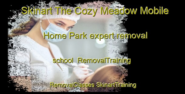 Skinart The Cozy Meadow Mobile Home Park expert removal school | #RemovalTraining #RemovalClasses #SkinartTraining-United States