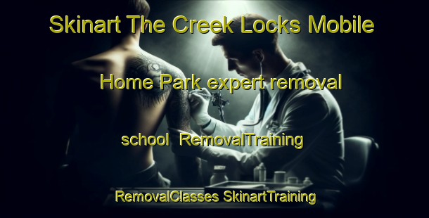 Skinart The Creek Locks Mobile Home Park expert removal school | #RemovalTraining #RemovalClasses #SkinartTraining-United States