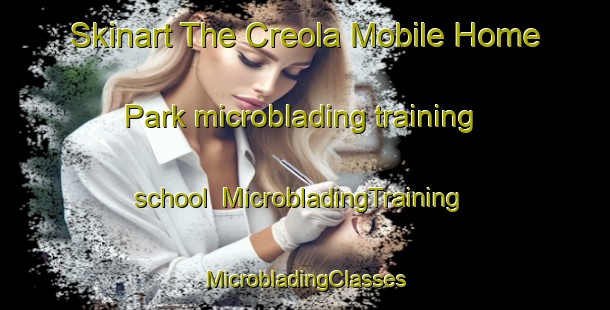 Skinart The Creola Mobile Home Park microblading training school | #MicrobladingTraining #MicrobladingClasses #SkinartTraining-United States