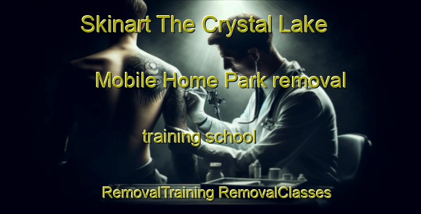 Skinart The Crystal Lake Mobile Home Park removal training school | #RemovalTraining #RemovalClasses #SkinartTraining-United States