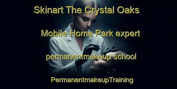 Skinart The Crystal Oaks Mobile Home Park expert permanentmakeup school | #PermanentmakeupTraining #PermanentmakeupClasses #SkinartTraining-United States