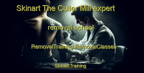 Skinart The Culler Mill expert removal school | #RemovalTraining #RemovalClasses #SkinartTraining-United States