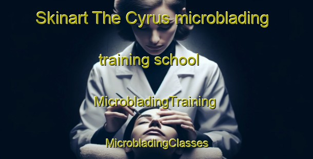 Skinart The Cyrus microblading training school | #MicrobladingTraining #MicrobladingClasses #SkinartTraining-United States