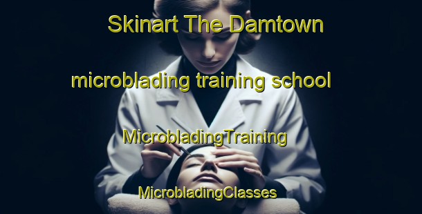 Skinart The Damtown microblading training school | MicrobladingTraining | MicrobladingClasses | SkinartTraining-United States
