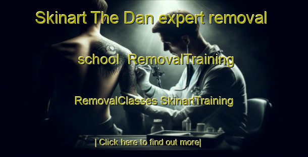 Skinart The Dan expert removal school | #RemovalTraining #RemovalClasses #SkinartTraining-United States