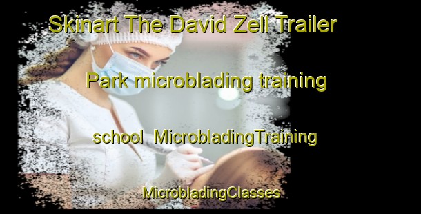 Skinart The David Zell Trailer Park microblading training school | #MicrobladingTraining #MicrobladingClasses #SkinartTraining-United States