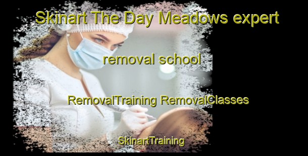 Skinart The Day Meadows expert removal school | #RemovalTraining #RemovalClasses #SkinartTraining-United States